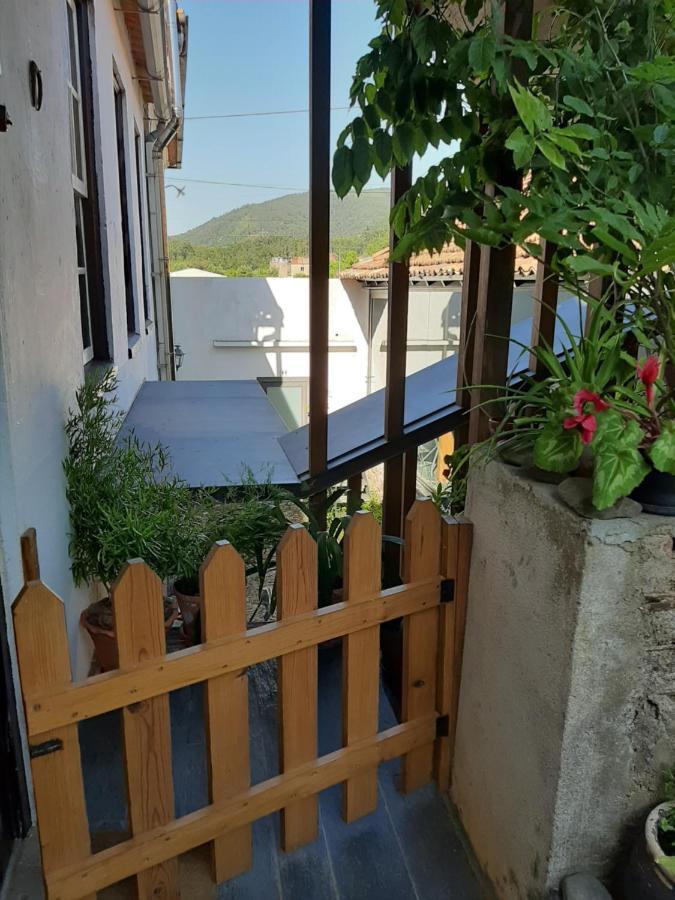 Casa Do Sr. Falcao Miranda do Corvo Eksteriør billede