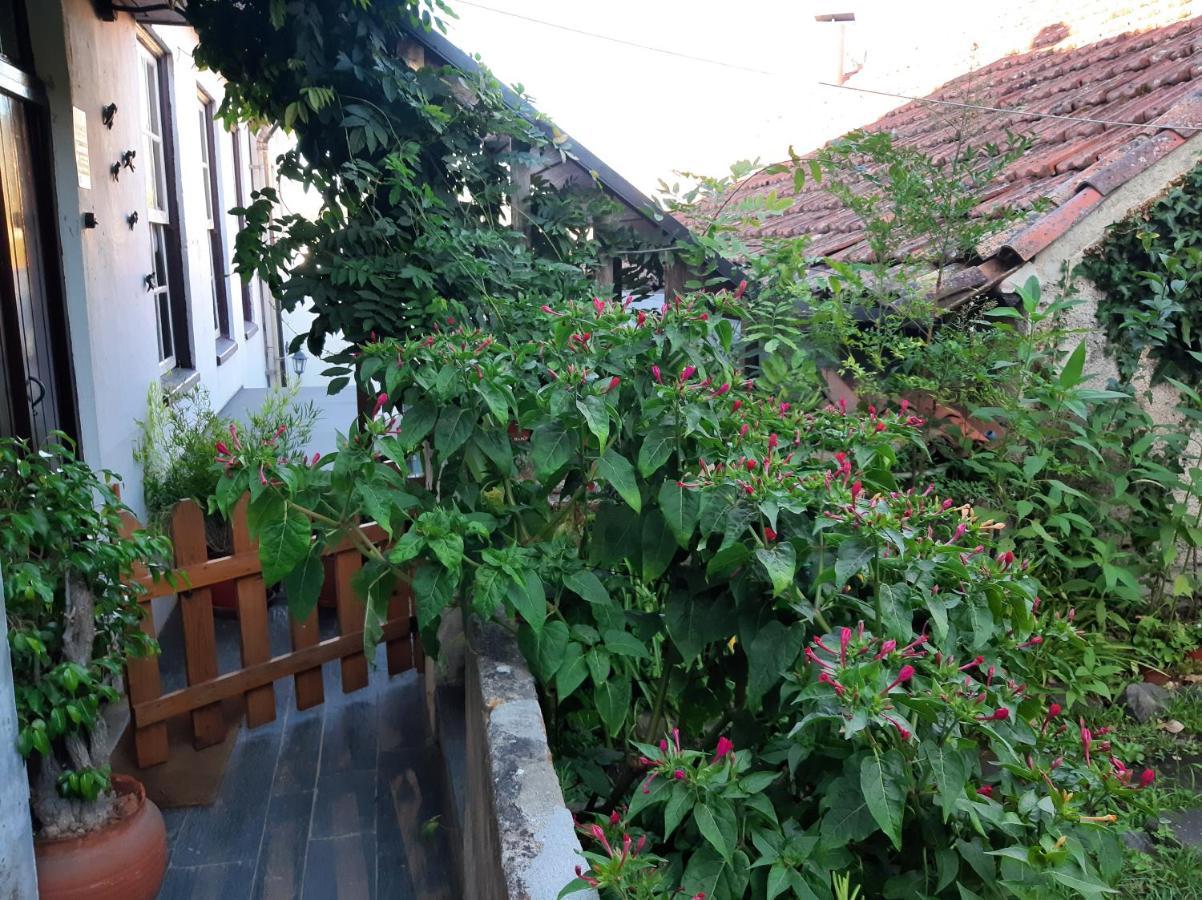 Casa Do Sr. Falcao Miranda do Corvo Eksteriør billede