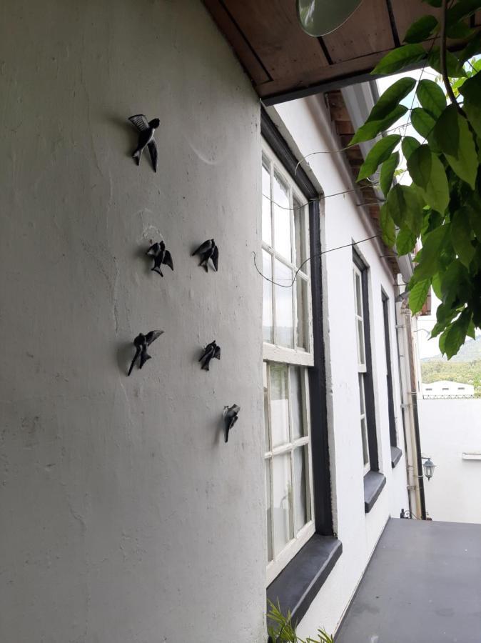 Casa Do Sr. Falcao Miranda do Corvo Eksteriør billede