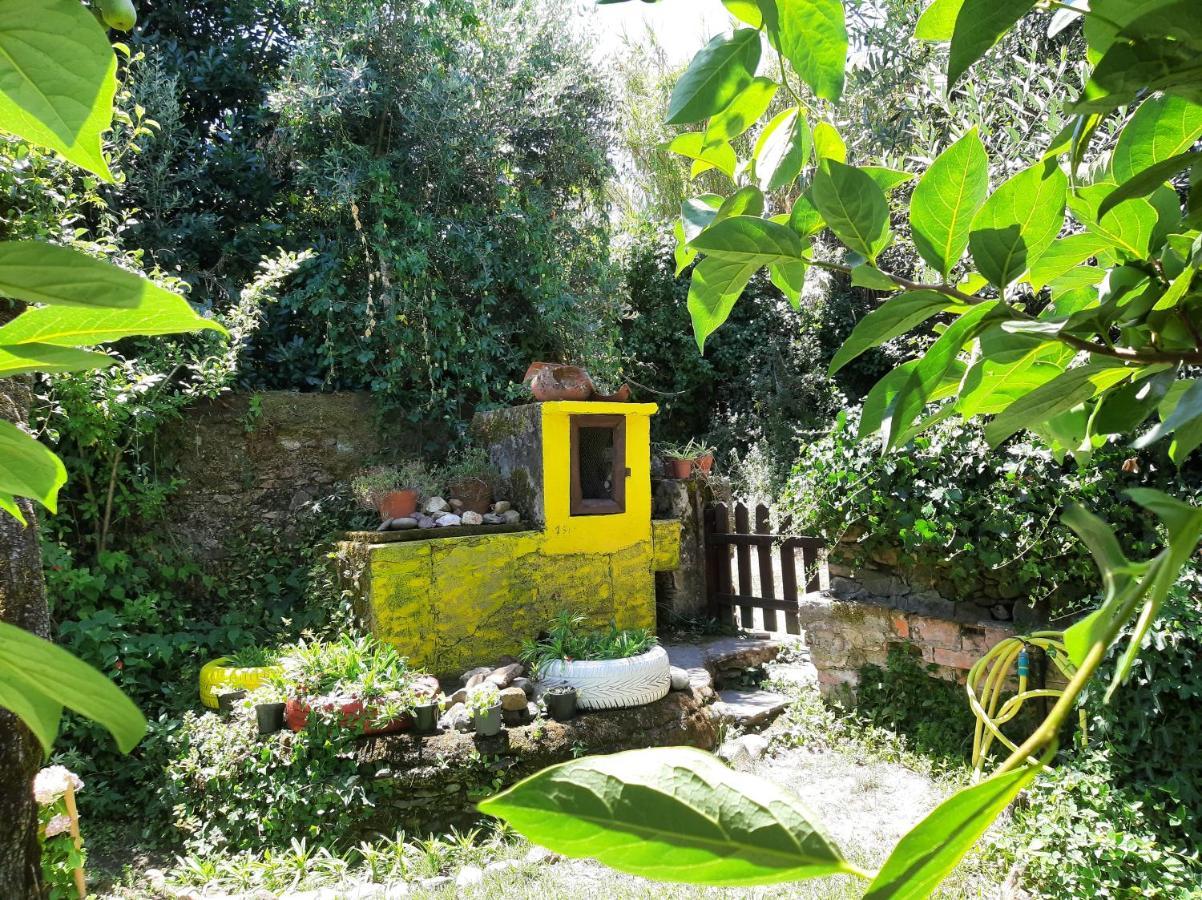 Casa Do Sr. Falcao Miranda do Corvo Eksteriør billede