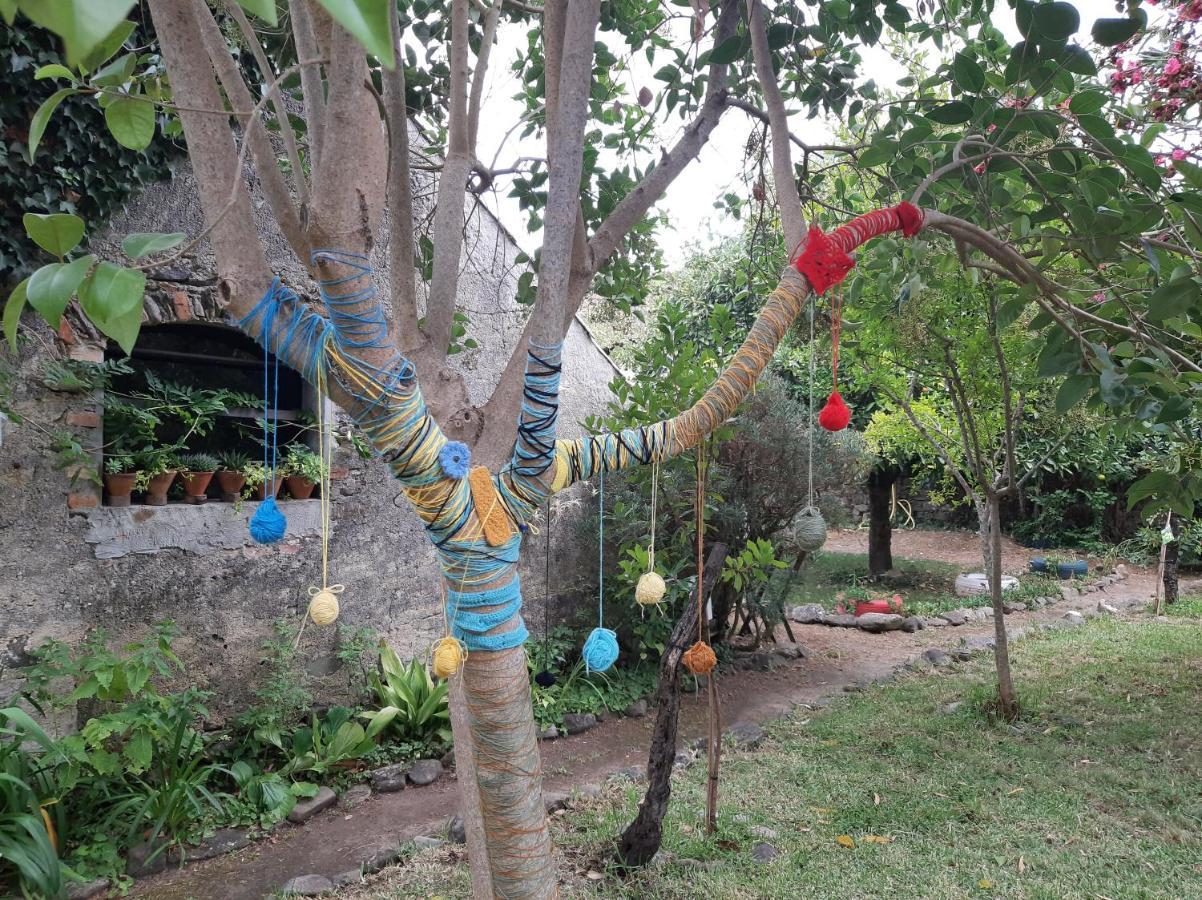 Casa Do Sr. Falcao Miranda do Corvo Eksteriør billede
