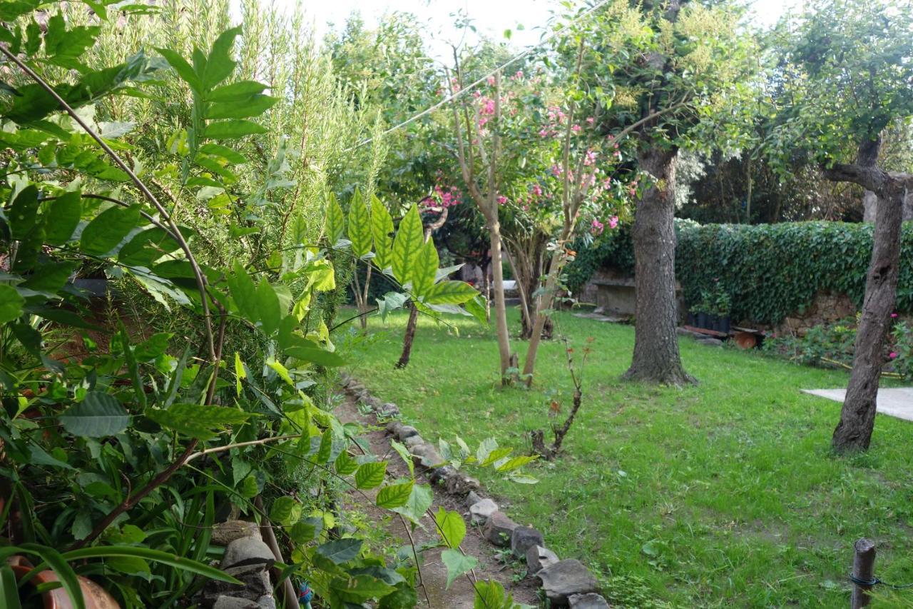 Casa Do Sr. Falcao Miranda do Corvo Eksteriør billede